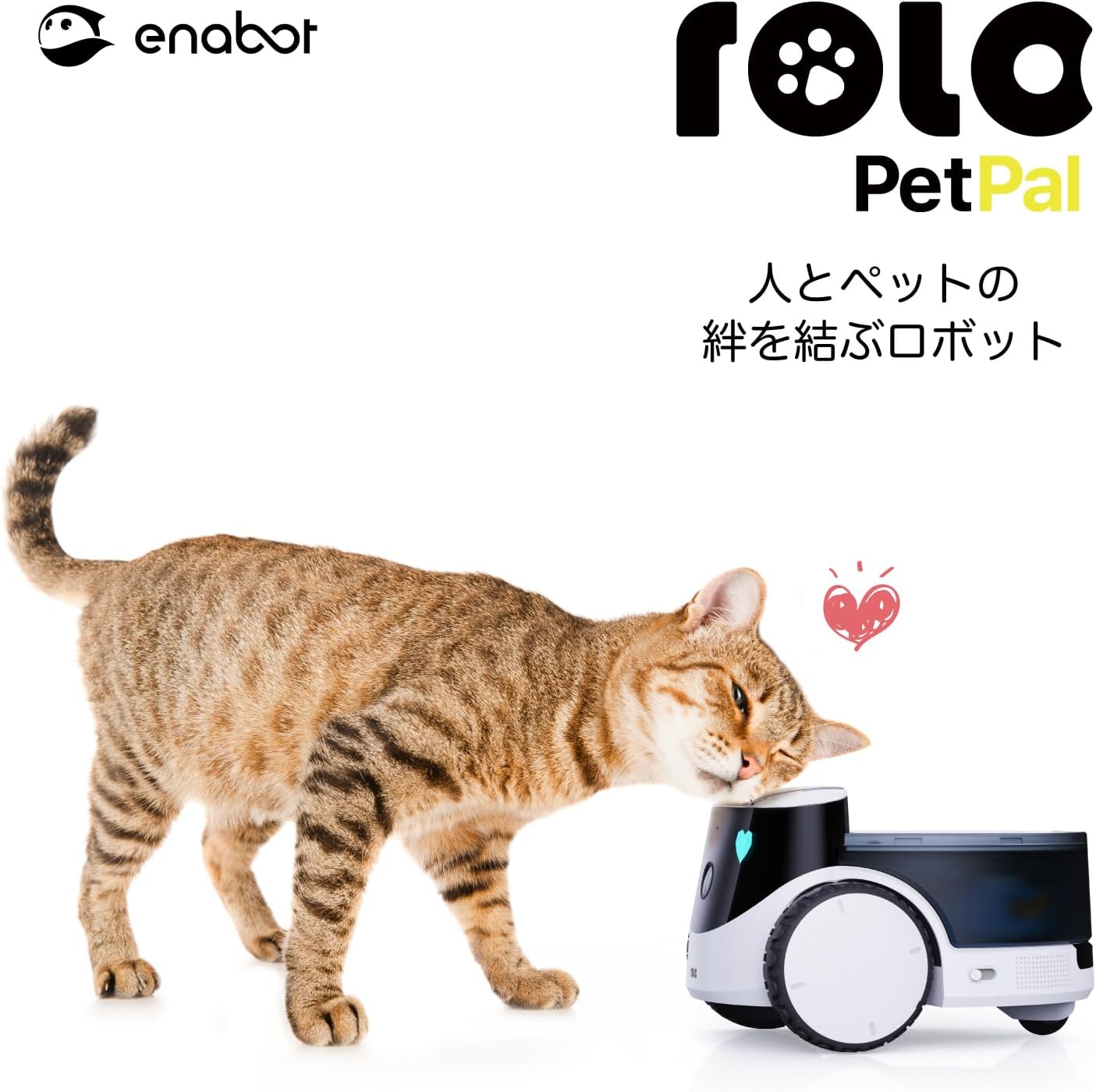 EBO Japan - Yahoo!ショッピング