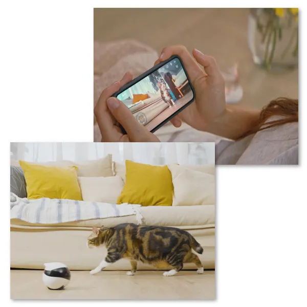 Amazon.co.jp: EBO SE 自走式カメラ ペットカメラ 可動式 家庭