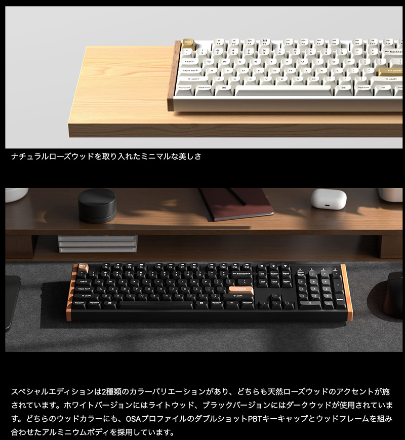 Keychron（キークロン） Keychron K10 HE スペシャルエディション 英語
