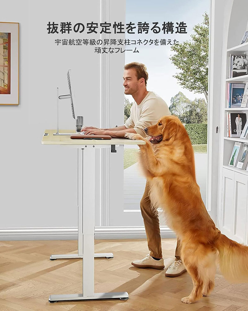 ErGear エルギア 電動昇降式 スタンディングデスク 幅120 x 奥行き60