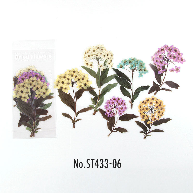 コラージュ 素材 シール 花 ドライフラワー 押し花 バラ 薔薇 ジャンク