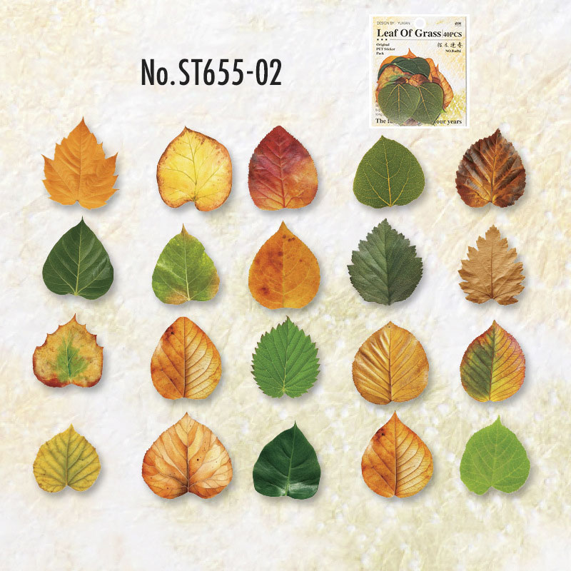 ST655 落ち葉 枯葉 紅葉 モミジ 銀杏 イチョウ 葉っぱ 秋 コラージュ