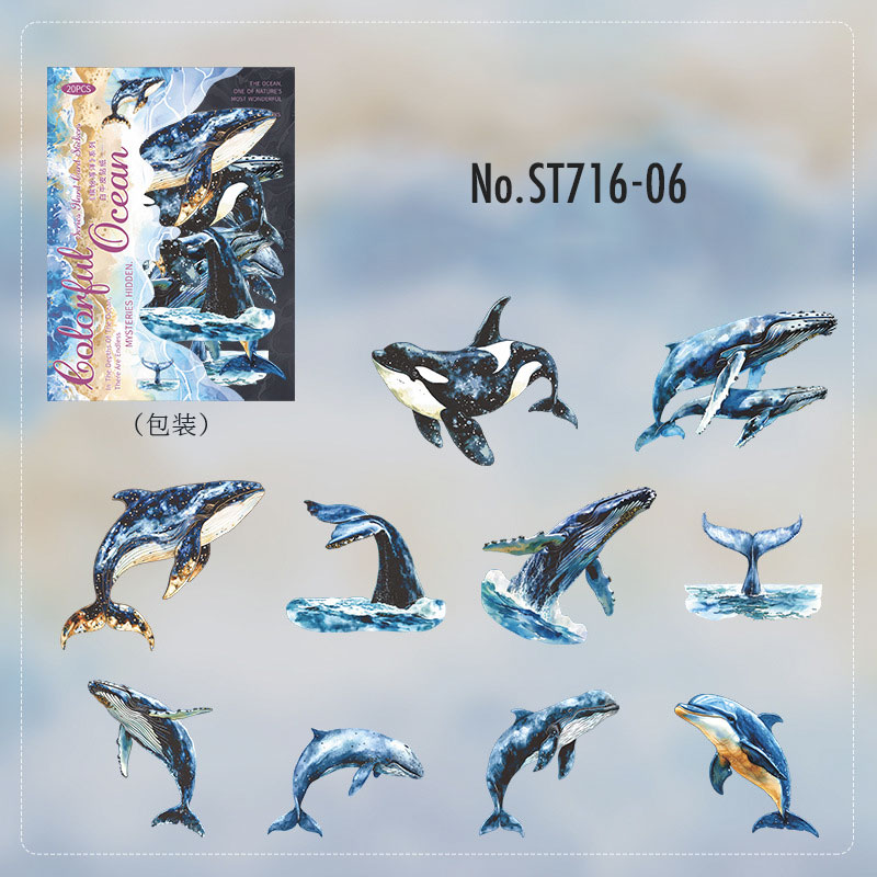 ST716 海の生き物 貝殻 クラゲ クジラ シャチ イルカ 魚 熱帯魚 サンゴ