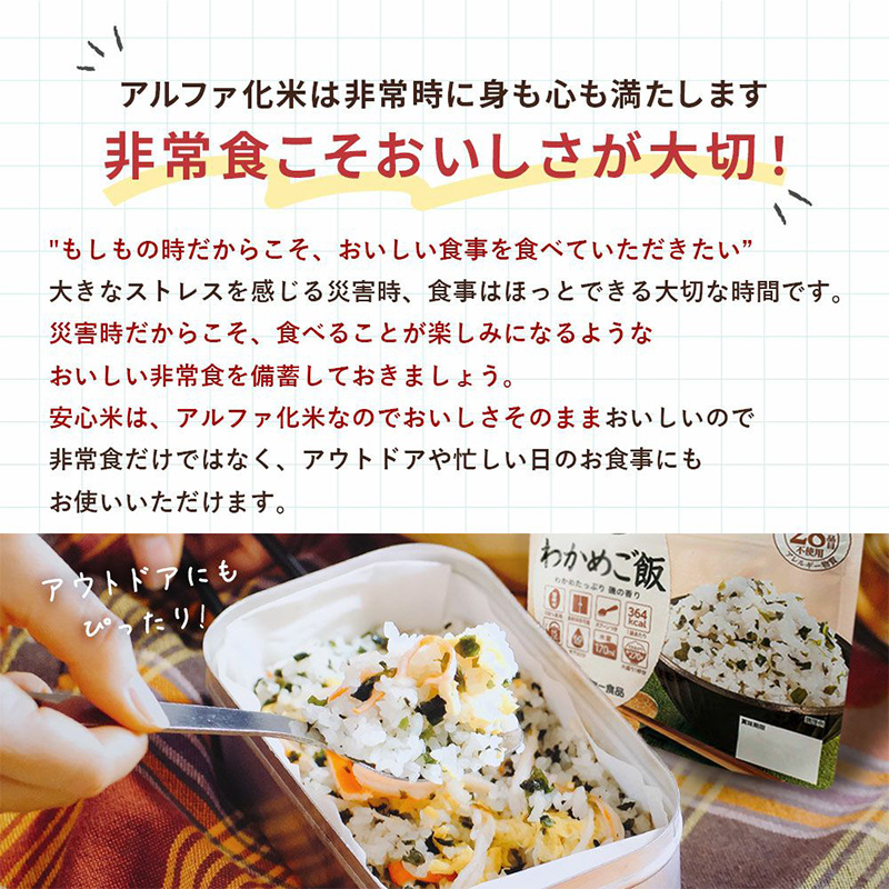 アルファー食品 非常食セット 安心米9食セットN1 9食入 アルファ米
