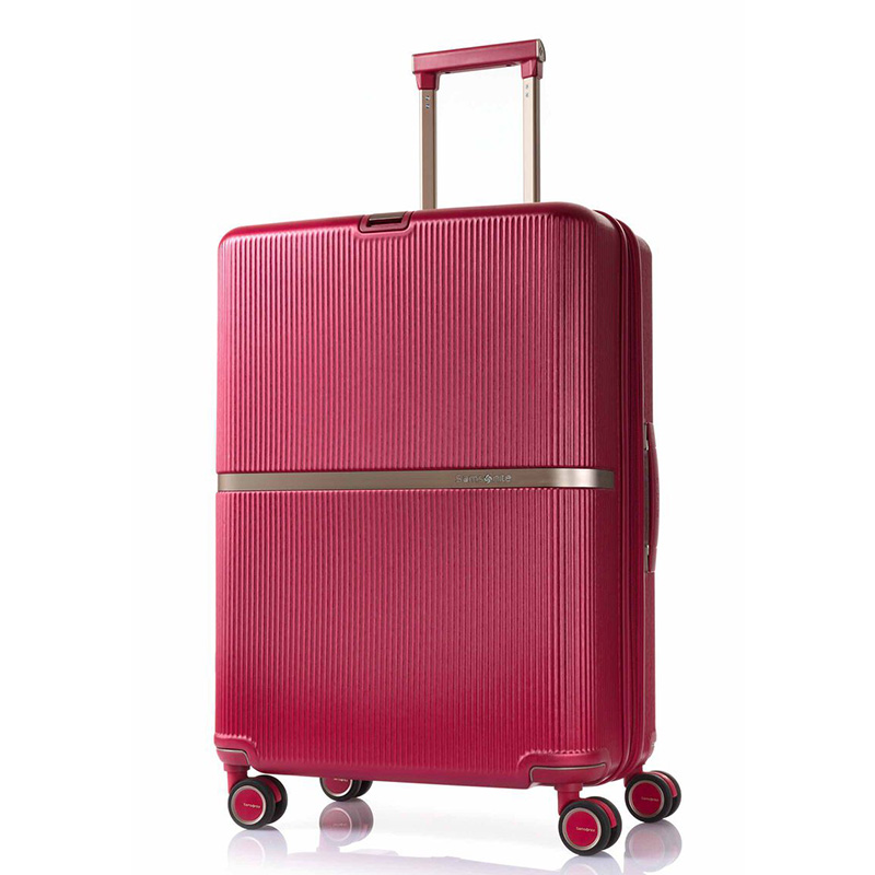 Samsonite サムソナイト スーツケース 受託手荷物 ミンター Samsonite サムソナイト スーツケース 受託手荷物 ミンター