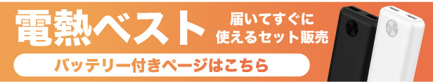 バッテリー付き