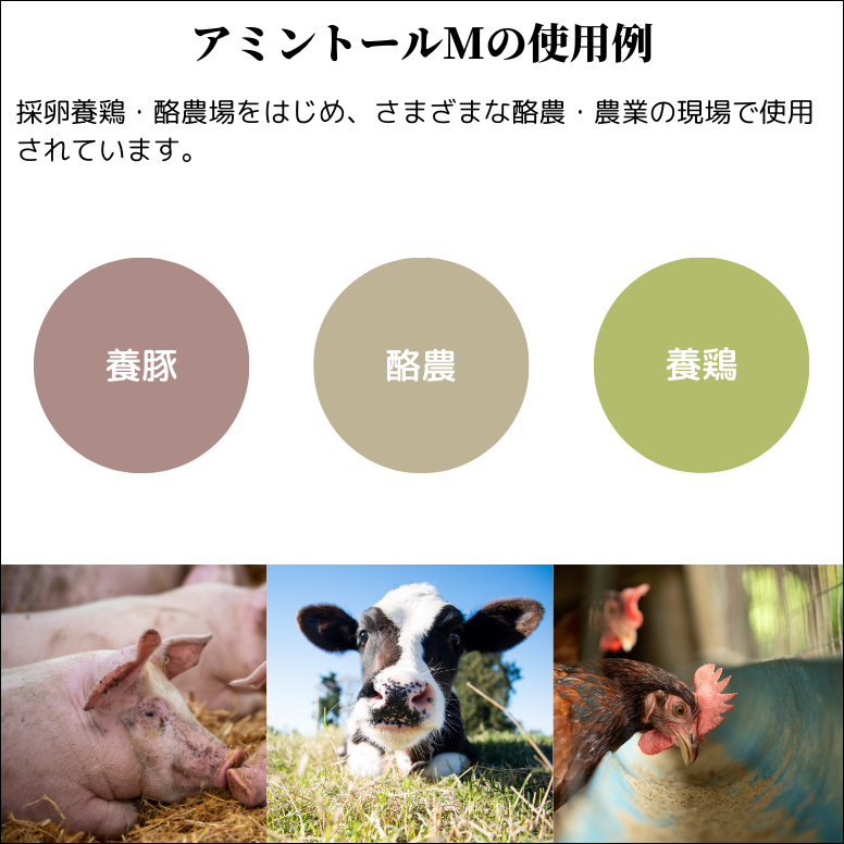 アミントールM A液 10リットル 家畜用 消臭 堆肥 発酵 促進剤 悪臭 アンモニア 対策 養鶏場 牧場 牛舎 養豚場 |  | 05