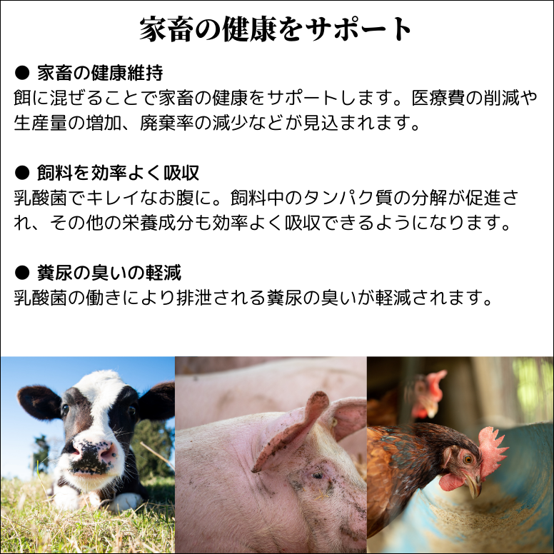 ぼっけぇー牧場 10リットル 乳酸菌 発酵 家畜用混合飼料 A飼料 家畜 牛