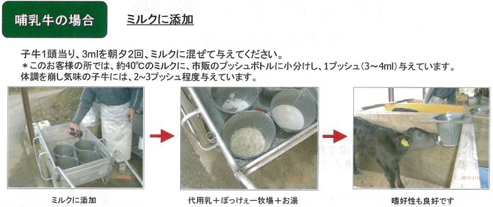 ぼっけぇー牧場 10リットル 乳酸菌 発酵 家畜用混合飼料 A飼料 家畜 牛 