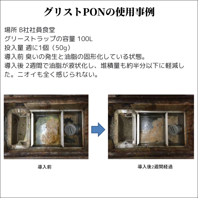 グリストPon 20錠入り グリーストラップ 保守管理 消臭剤 悪臭 グリストPon 20錠入り グリーストラップ 保守管理 消臭剤 悪臭