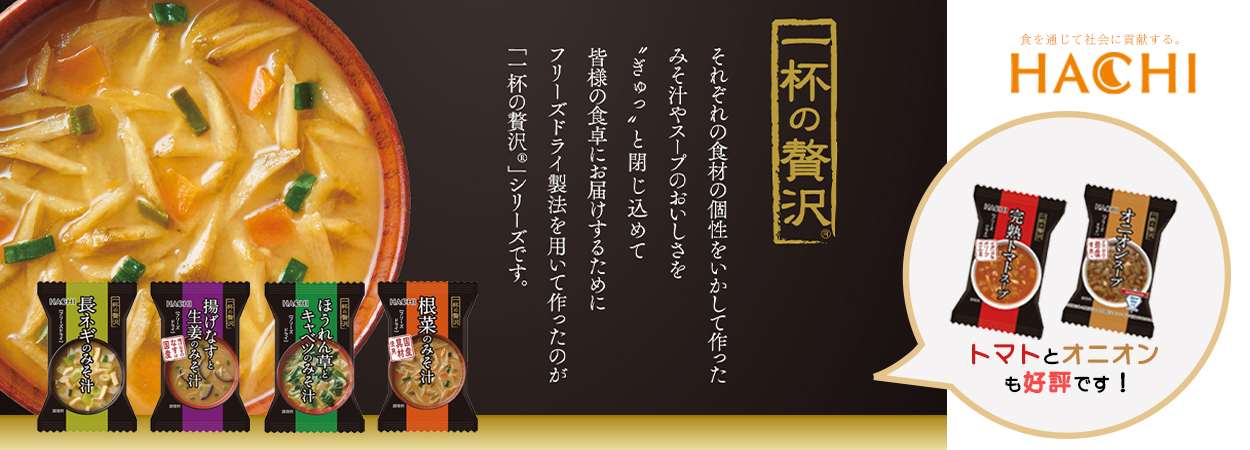 米 10kg 雪若丸 お米 10キロ 令和6年産 特A 山形県 庄内 置賜