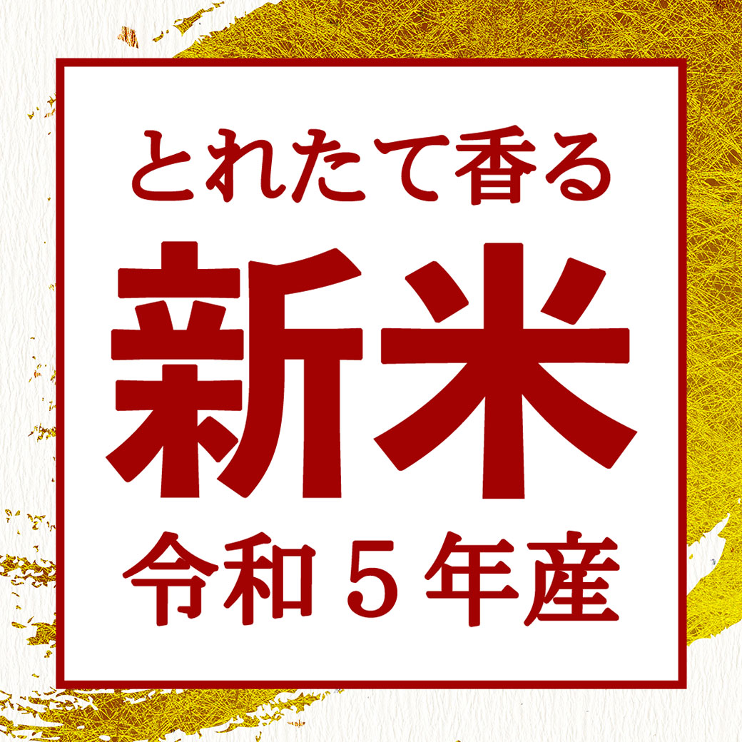 新米 10kg ミルキークイーン お米 新潟産 令和5年産 送料無料 産直