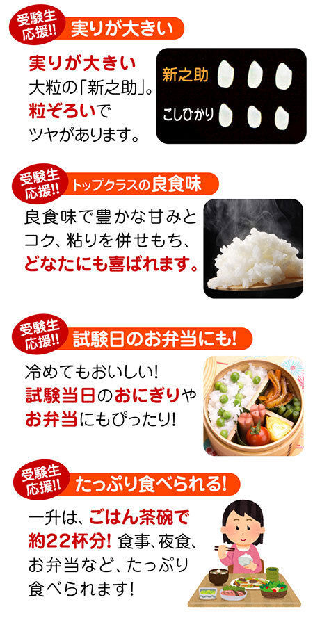 合格祈願には新潟米 新之助 一升 1 5kg 令和2年産 北海道 九州は送料無料 名入れ メッセージ 1sho Kig お米の挨拶ギフト 越後のこめ匠 通販 Yahoo ショッピング 合格祈願には新潟米 新之助 一升 1 5kg 令和2年産 北海道 九州は送料無料 名入れ メッセージ 1sho Kig お米の挨拶ギフト 越後のこめ匠 通販 Yahoo ショッピング