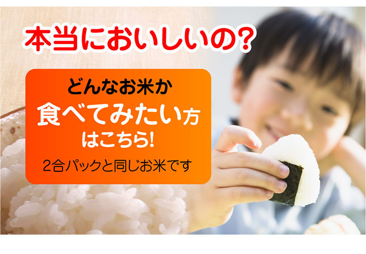 匠ページへ