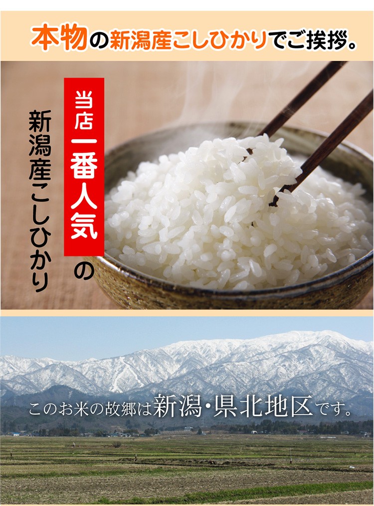 本物
