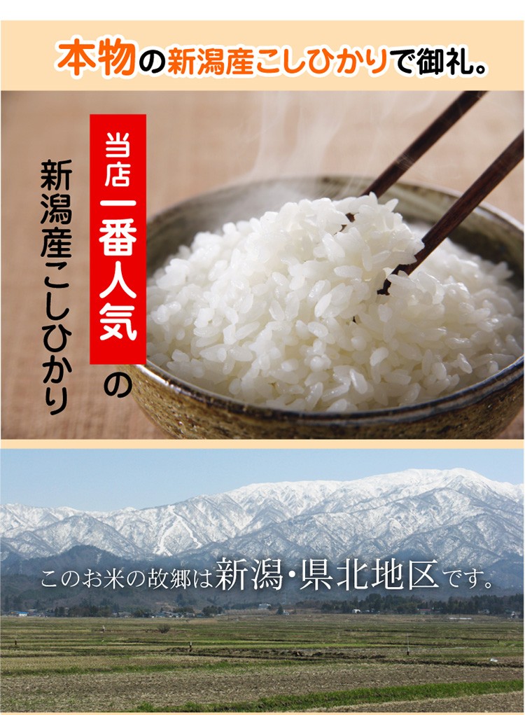お米の説明