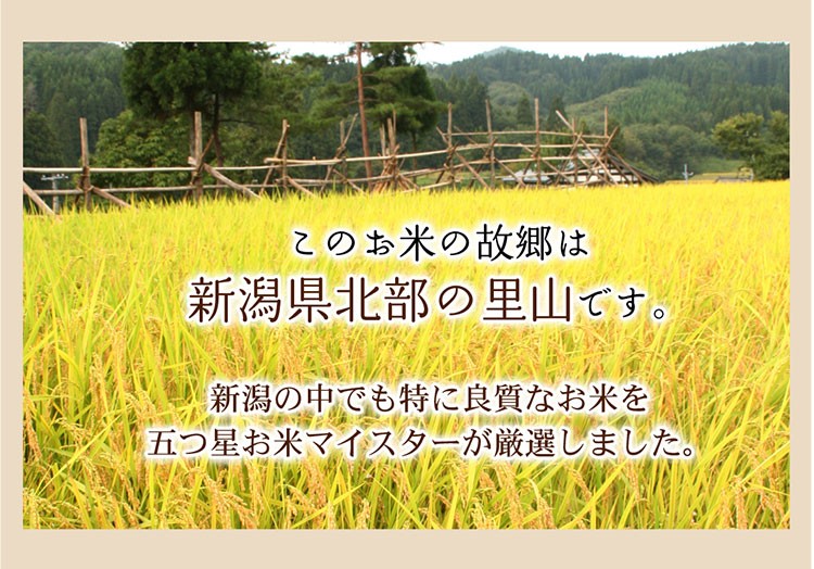 お米説明2