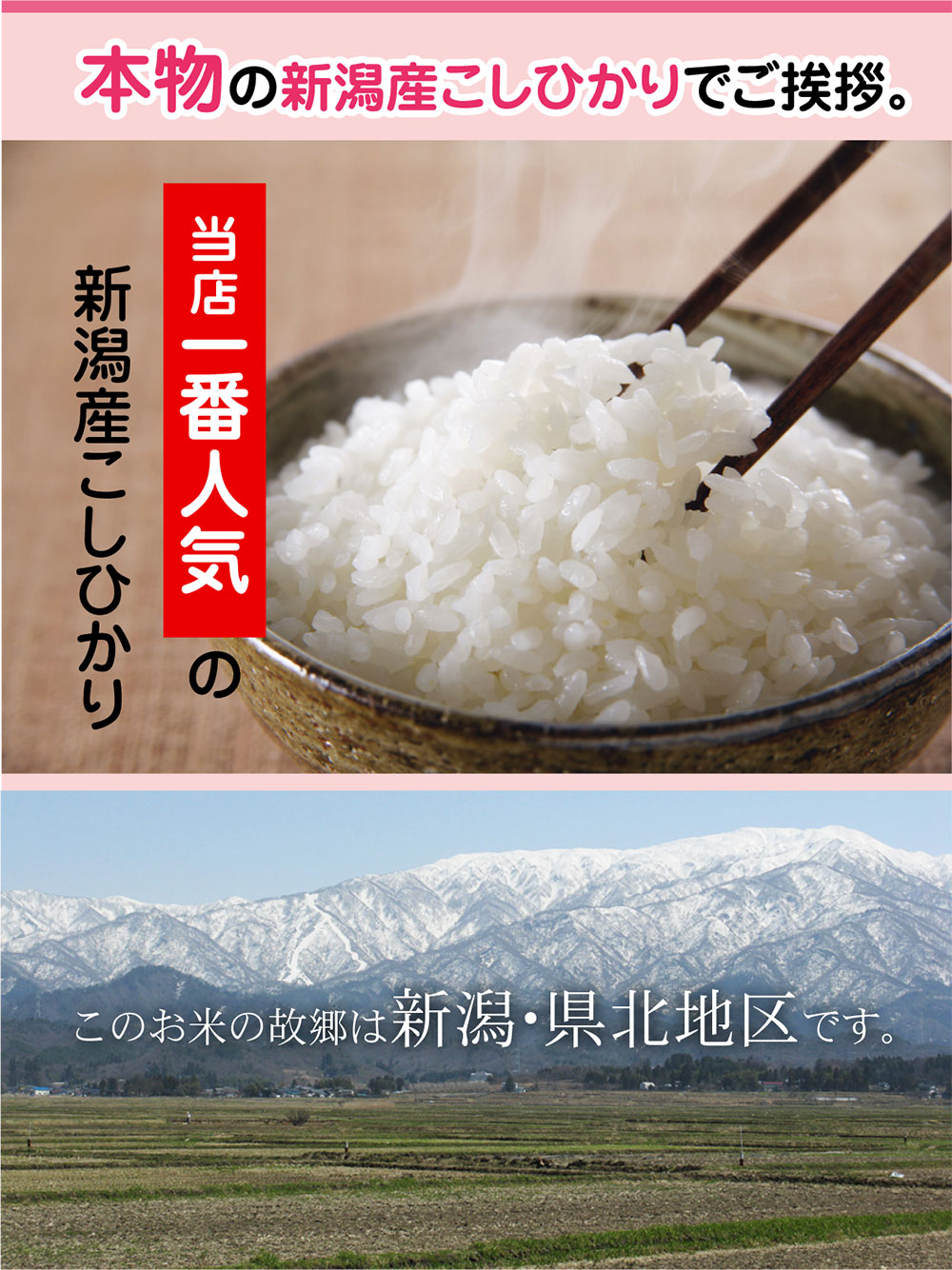 本物