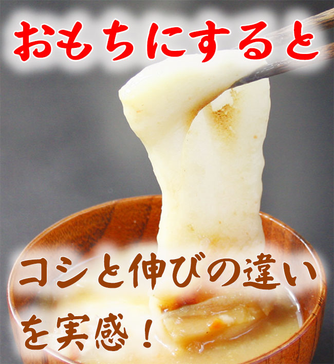 もちごめ 令和6年産 会津 こがねもち 白米 5kg 1袋 もち モチ米 5キロ