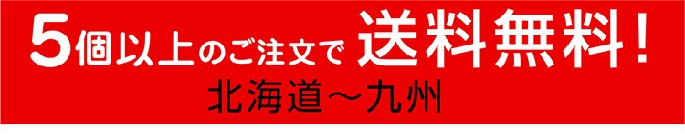 ５個以上で送料無料