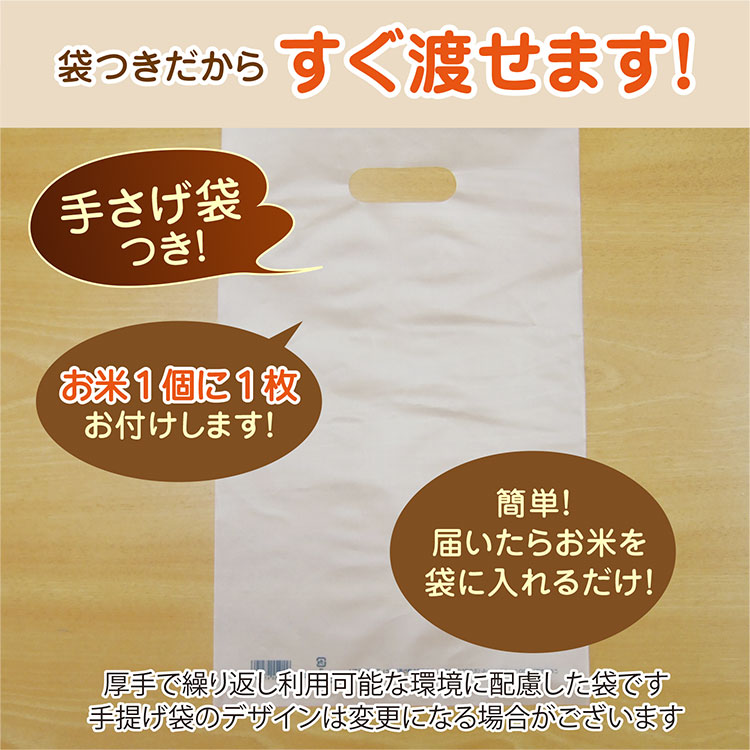 コシヒカリ 米 法事 志 ギフト 新潟産 コシヒカリ3合 真空パック 志 一