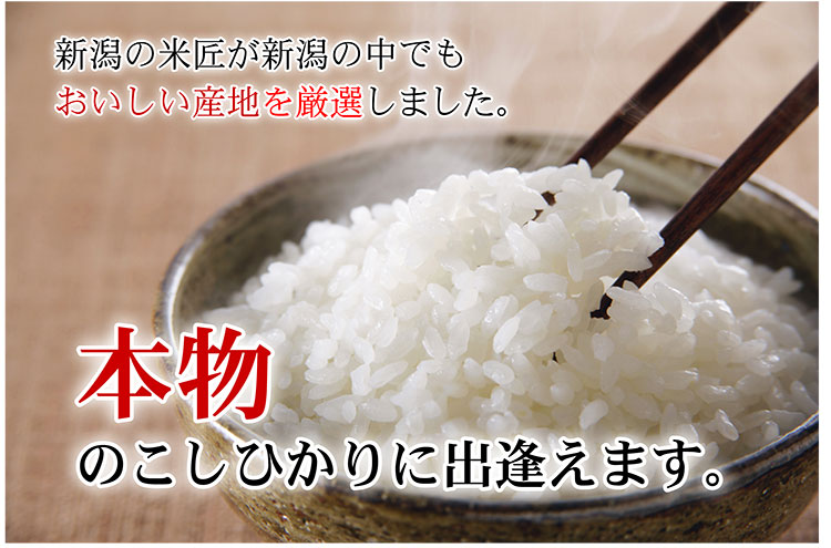 米 令和5年産 お米 10ｋｇ(5ｋｇ×2) 新潟産 コシヒカリ「匠」 真空