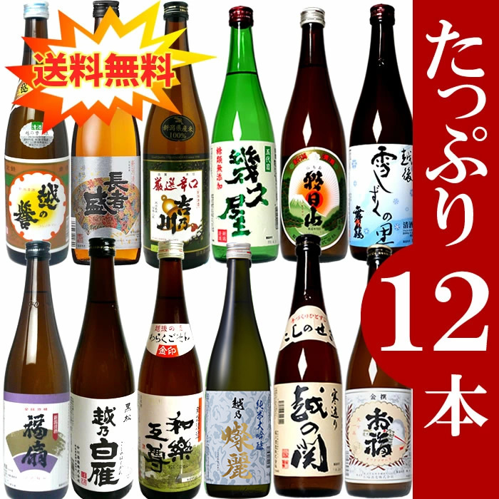 【お取寄せ】日本酒しごうびん十本セット新品 日本酒