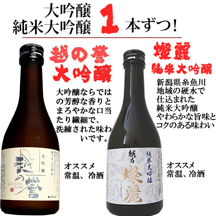朝日山 新潟 日本酒 飲み比べ 300ml セット 12本 ミニボトル12種類