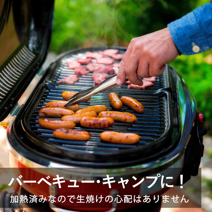 バーベキュー・キャンプに