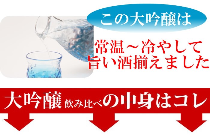 日本酒 飲み比べ セット  ギフト 大吟醸 純米大吟醸 ミニ 720ml 5本セット｜echigo｜04