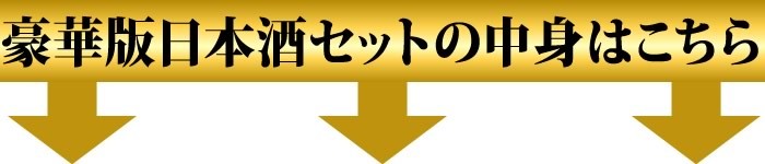 豪華版日本酒セット中身はこちら