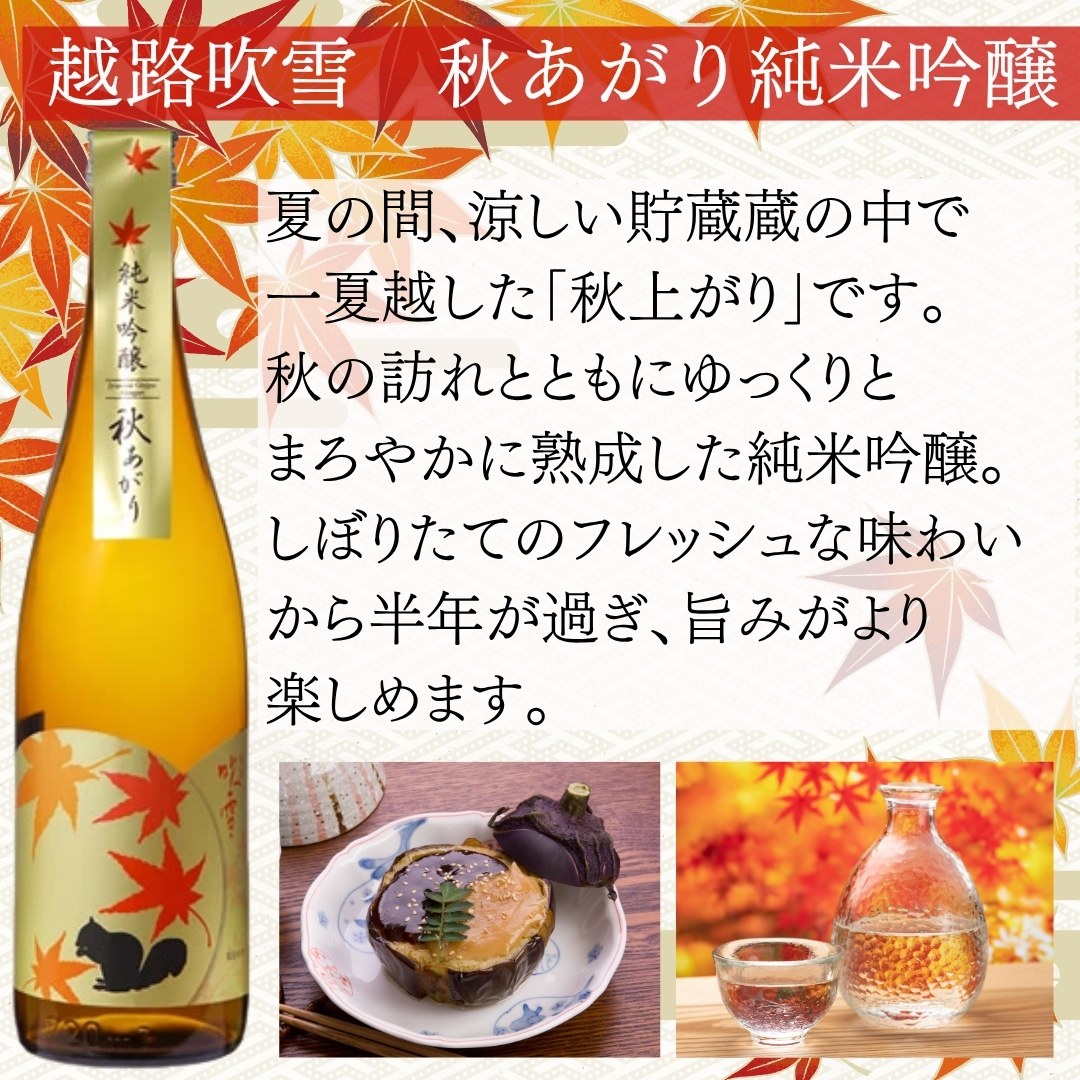 秋限定 日本酒 秋酒 ひやおろし 飲み比べセット 720ml 5本 越路吹雪 越乃八豊 白龍 越乃梅里 お福正宗 | 越路吹雪 | 04