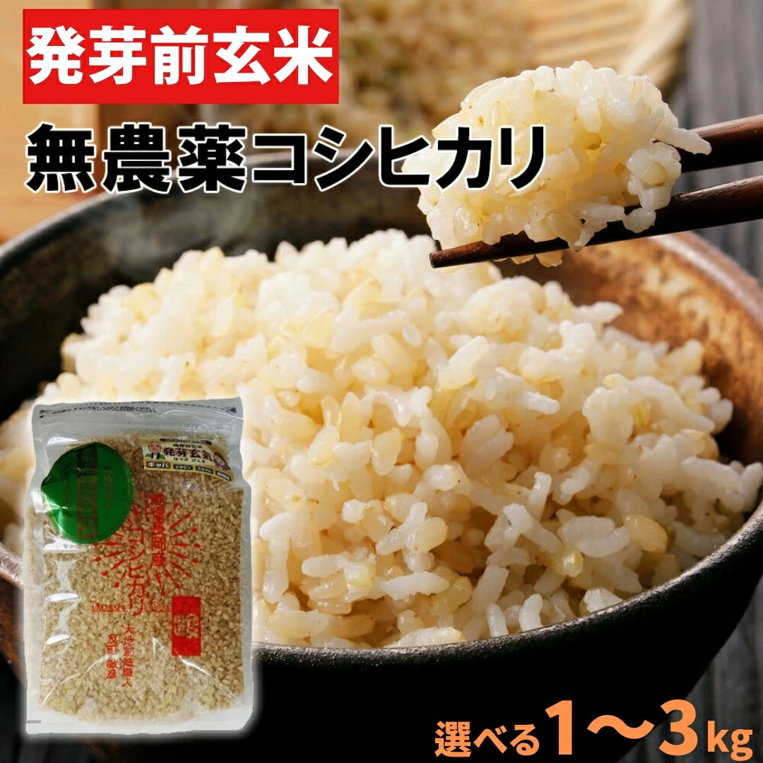 (産地直送)発芽前玄米 3kg 新潟こしひかり 無農薬 化学肥料不使用 大地創造職人 新潟県長岡市産 | コシヒカリ | 01