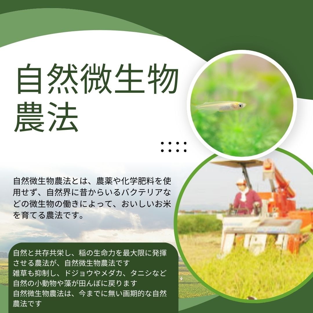 (産地直送)新潟 コシヒカリ 玄米 10kg 無農薬 化学肥料不使用 大地創造職人 新潟県長岡市産 | コシヒカリ | 06