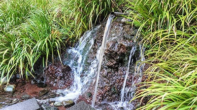 中川酒造　湧き水