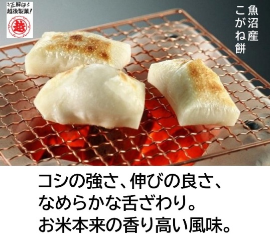 越後製菓 新潟魚沼産こがね餅500g(切り餅個装入) : 越後製菓オンライン