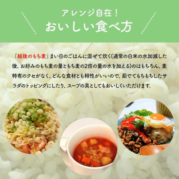 アレンジ自在！おいしい食べ方。「越後のもち麦」まい日のごはんに混ぜて炊く(通常の白米の水加減した後、お好みのもち麦の量ともち麦の2倍の量の水を加える)のはもちろん、麦特有のクセがなく、どんな食材とも相性がいいので、茹でてもちもちしたサラダのトッピングにしたり、スープの具としてもおいしくいただけます。