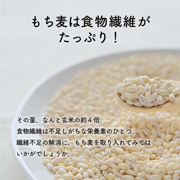もち麦は食物繊維がたっぷり！その量、なんと玄米の約４倍。食物繊維は不足しがちな栄養素のひとつ。繊維不足の解消に、もち麦を取り入れてみてはいかがでしょうか。
