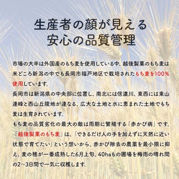 生産者の顔が見える安心の品質管理。市場の大半は外国産のもち麦を使用している中、越後製菓のもち麦は米どころ新潟の中でも長岡市福戸地区で栽培されたもち麦を100％使用しています。長岡市は新潟県の中央部に位置し、南北には信濃川、東西には東山連峰と西山丘陵地が連なる、広大な土地と水に恵まれた土地でもち麦は生育されています。もち麦の品質劣化の最大の敵は雨期に繁殖する「赤かび病」です。「越後製菓のもち麦」は、「できるだけ人の手を加えずに天然に近い状態で育てたい」という想いから、赤かび除去の農薬を最小限に抑え、麦の穂が一番成熟した6月上旬、40haもの圃場を梅雨の晴れ間の2〜3日間で一気に収穫します。