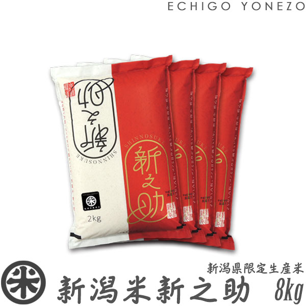 新之助（しんのすけ） 新米 令和7年産 新潟産 白米 2kg 4kg 6kg 8kg