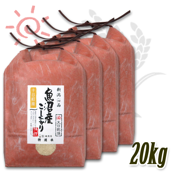 コシヒカリ 新米 令和7年産 天日干し 中魚沼 十日町産コシヒカリ 5kg