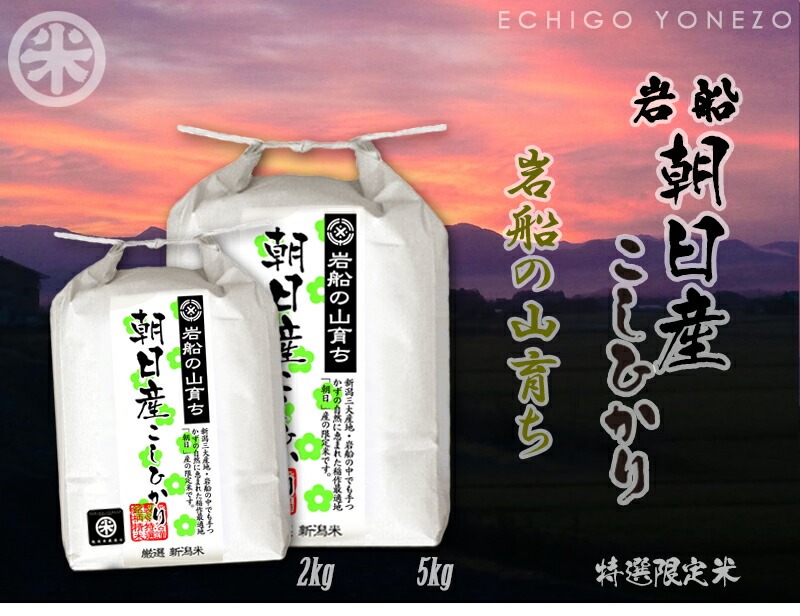 コシヒカリ 新米 令和7年産 岩船の山育ち 朝日産コシヒカリ 特選限定米