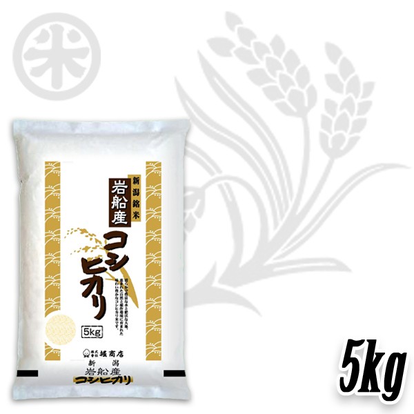 コシヒカリ 新米 令和7年産 岩船産コシヒカリ 厳選産地米 5kg 10kg
