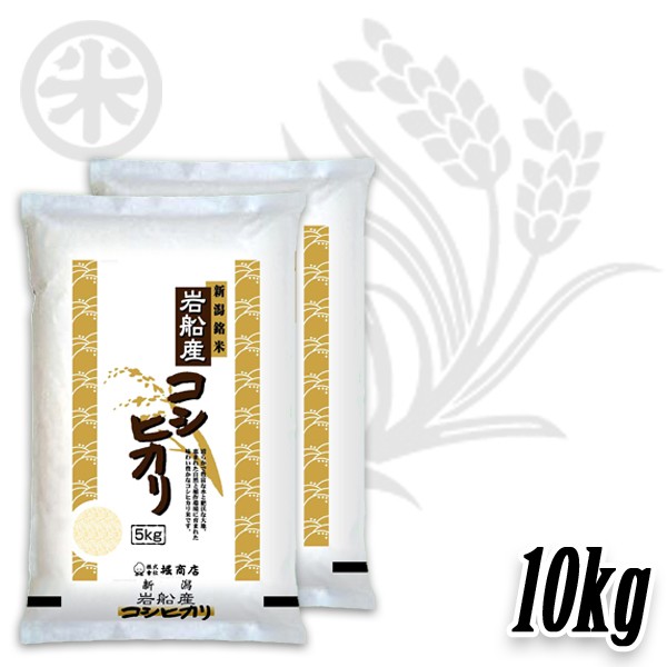 コシヒカリ 新米 令和7年産 岩船産コシヒカリ 厳選産地米 5kg 10kg
