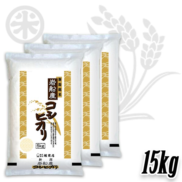 コシヒカリ 新米 令和7年産 岩船産コシヒカリ 厳選産地米 5kg 10kg
