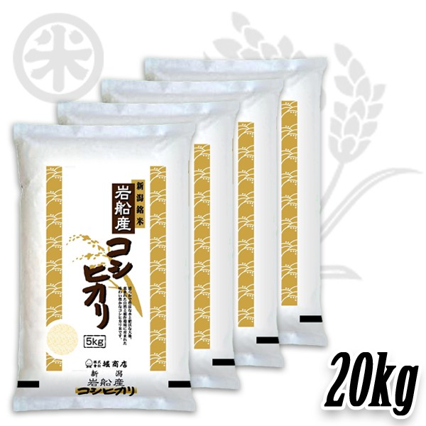 コシヒカリ 新潟米 令和7年産 岩船産コシヒカリ 厳選産地米 5kg 10kg