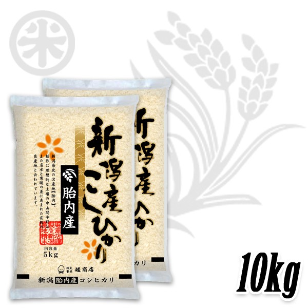 コシヒカリ 新潟米 令和6年産 胎内産コシヒカリ 15kg (5kg×3袋 コシヒカリ 新潟米 令和6年産 胎内産コシヒカリ 15kg (5kg×3袋