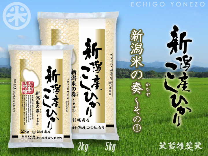 コシヒカリ 新米 令和7年産 新潟産コシヒカリ 新潟米の奏-1 15kg (5kg