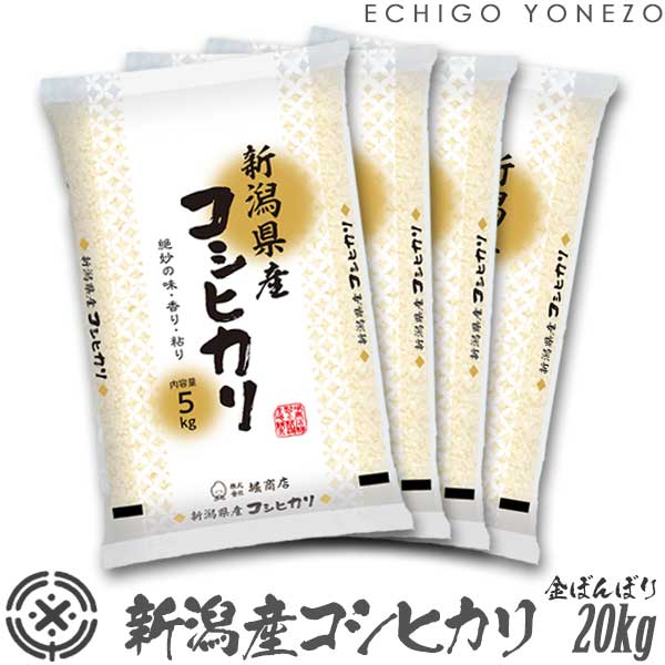  6ǯ 㻺ҥ ܤܤ 20kg (5kg4)  ٥롼տȤν Ҥꤪ  ̵ եб
