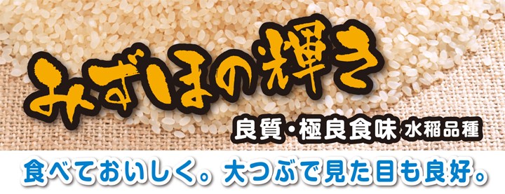 新潟米 令和6年産 新潟産みずほの輝き 新潟米の奏(3) 5kg (5kg×1